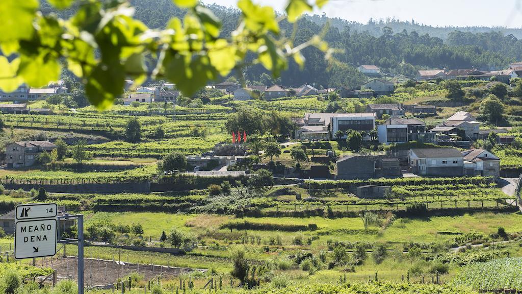 Quinta De San Amaro Rias Baixas 호텔 메아노 외부 사진